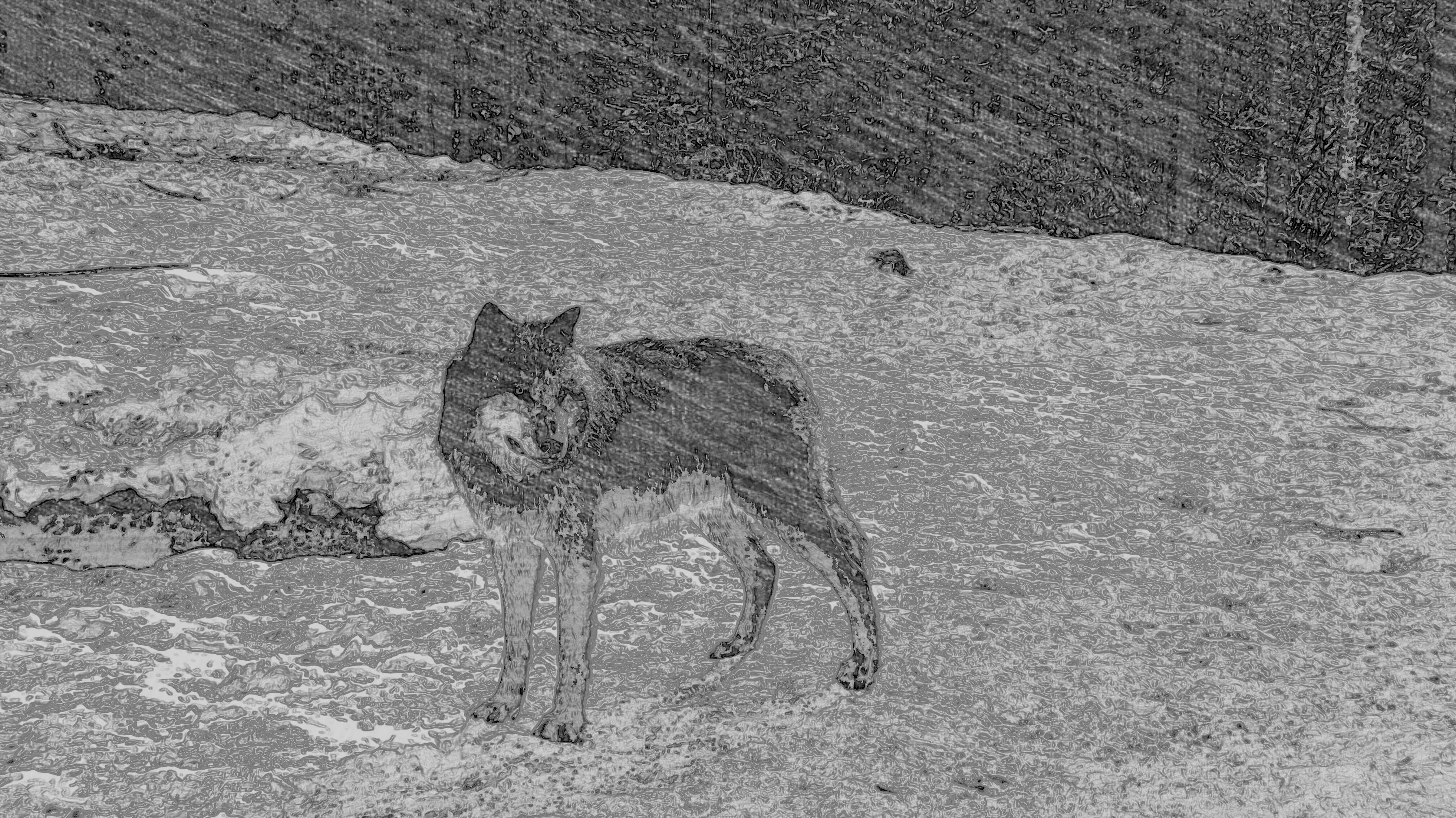 Photo n° 3 de l'avis de Chris.. fait le 11/03/2019 à 16:05