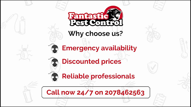 Reviews of Fantastic Pest Control in Watford - Pest control service