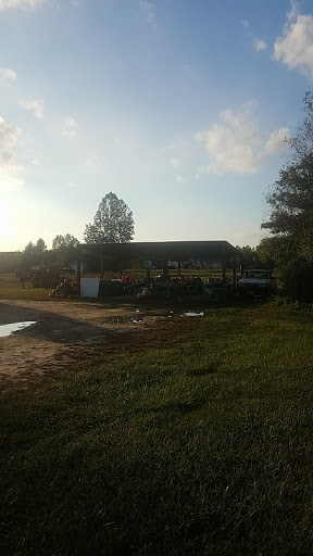 Grocery Store «Liepes Farm & Market», reviews and photos, 3135 S Cologne Ave, Mays Landing, NJ 08330, USA