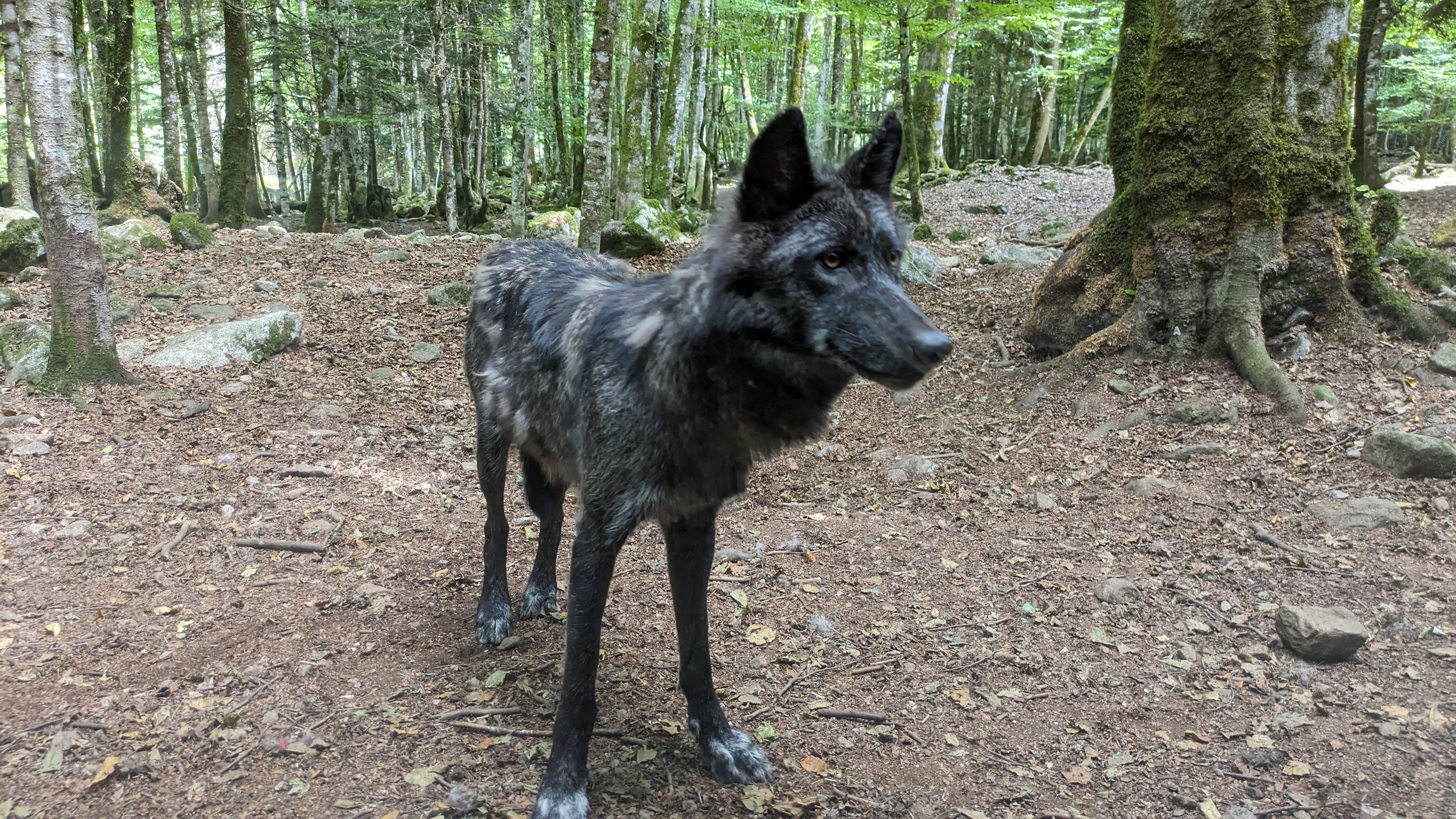 Photo n° 10 de l'avis de Dada.e fait le 15/08/2023 à 12:32