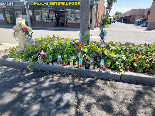 Print Shop «Niche Business Cafe 