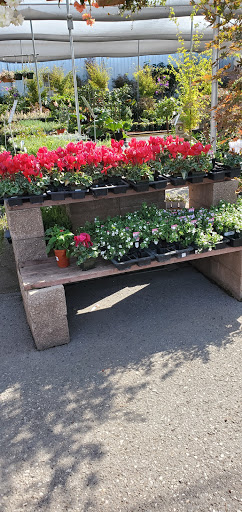 Hardware Store «Payless Hardware, Rockery and Nursery», reviews and photos, 2927 King Rd, San Jose, CA 95122, USA