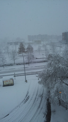 Non-Profit Organization «Urban Ministries of Durham», reviews and photos