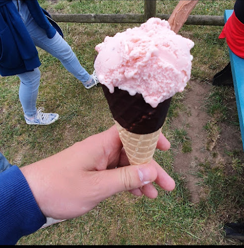 Reviews of Daisy Made Farm in Lincoln - Ice cream
