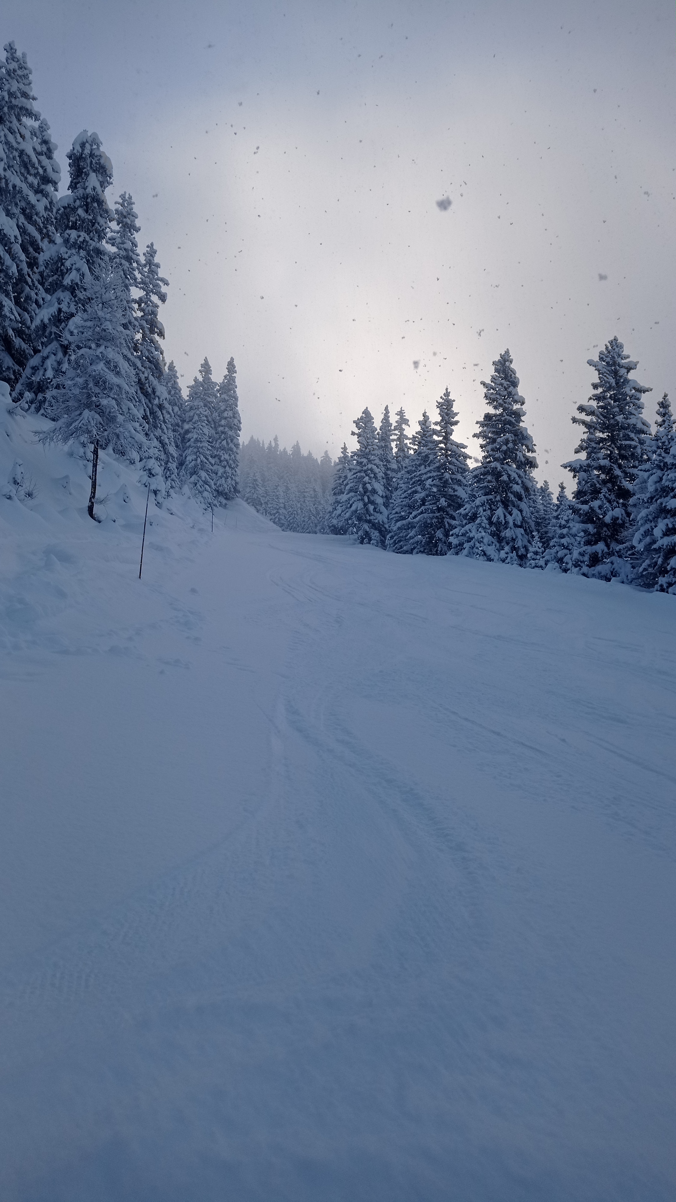 Photo n° 5 de l'avis de Emeric.i fait le 19/01/2023 à 15:44