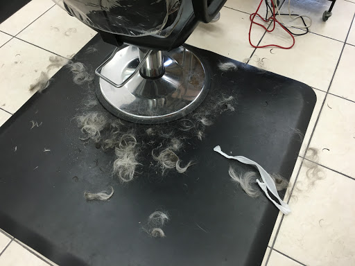 Hair Salon «Hair Cuttery», reviews and photos, 15751 SW 152nd St Ste B, Miami, FL 33187, USA