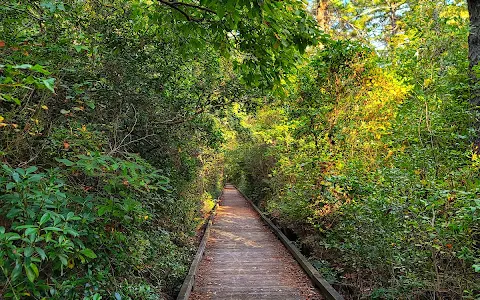 Atlantic County Park image