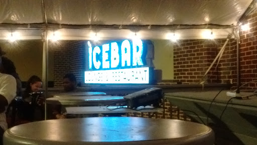 Lounge «IceBar Lounge & Resturant», reviews and photos, 5456 W Fayetteville Rd #700, Atlanta, GA 30349, USA