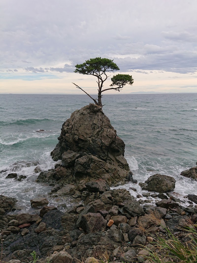 千鳥が岩小浜