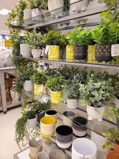 Department Store «Marshalls», reviews and photos, 550 Kinderkamack Rd, Emerson, NJ 07630, USA