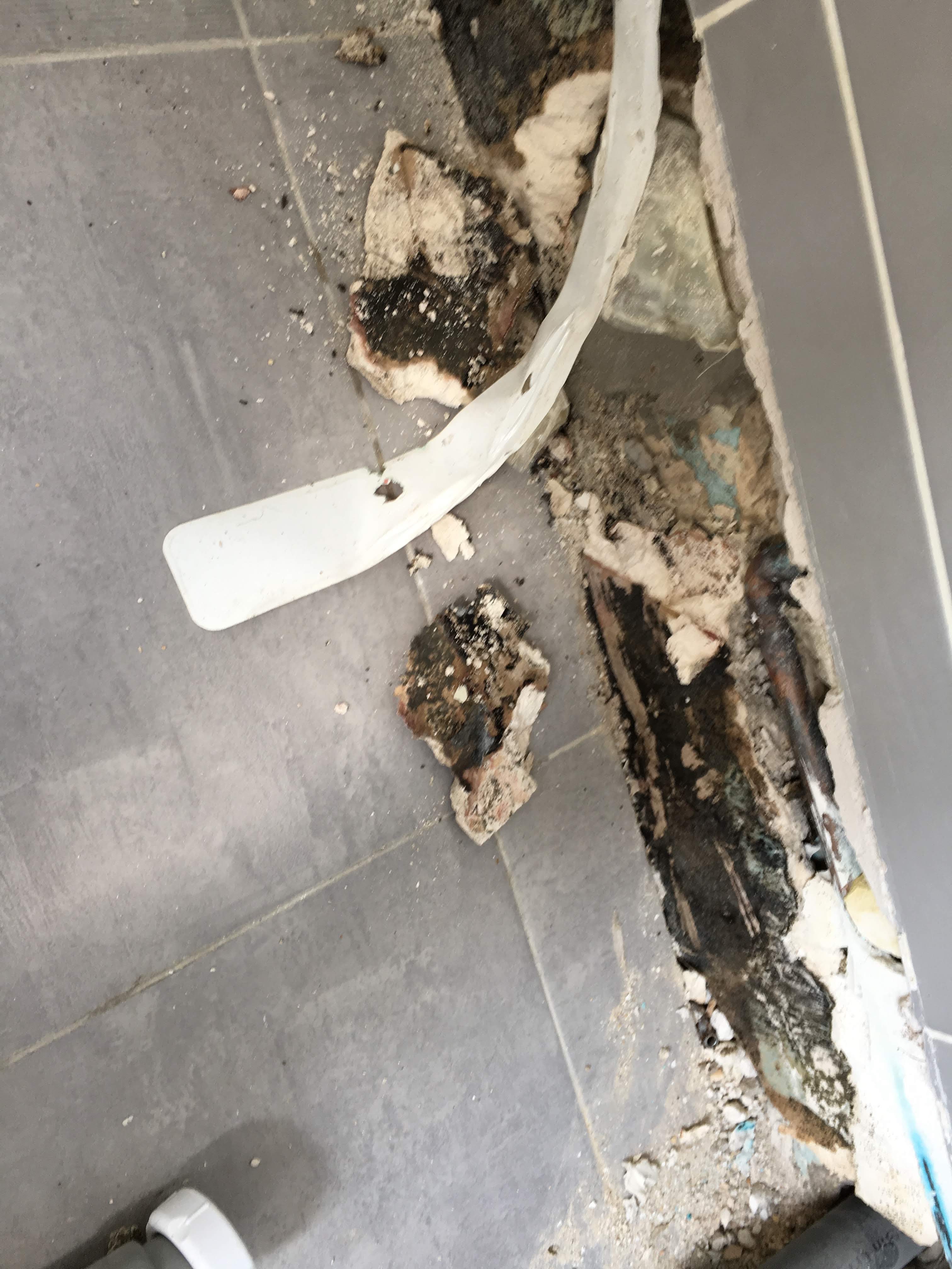 Photo n° 2 de l'avis de Eddine.o fait le 27/03/2019 à 07:25