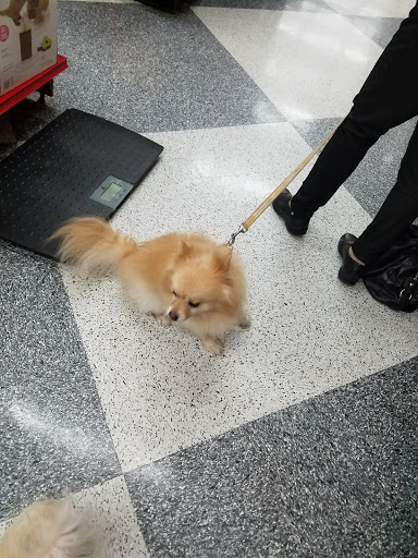 Pet Supply Store «Petco Animal Supplies», reviews and photos, 1694 Boston Rd, Springfield, MA 01129, USA