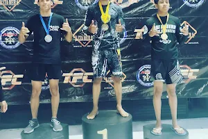 Charles Bastos, Jiu-jitsu Y MMA image