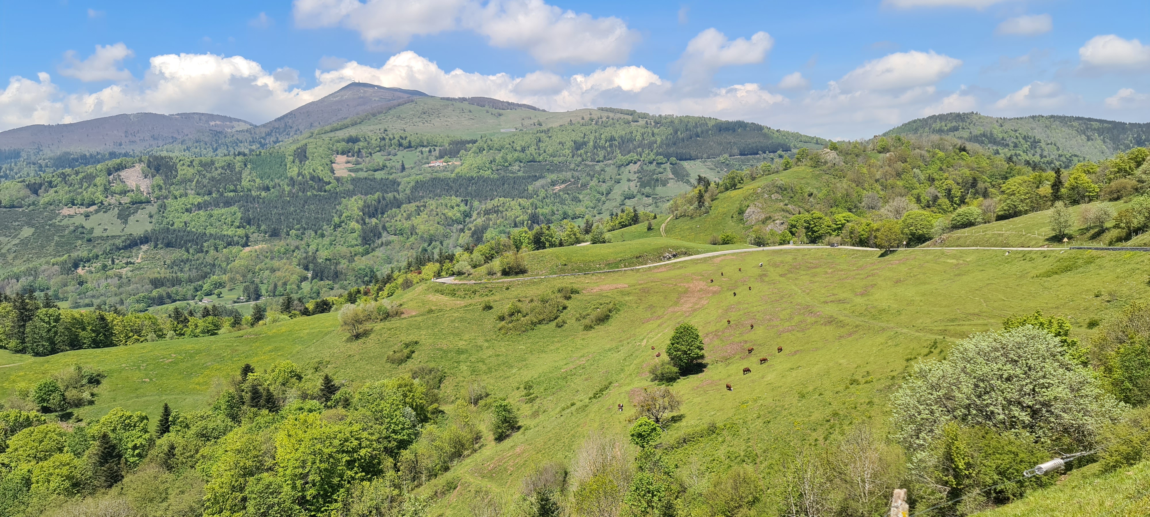 Photo n° 23 de l'avis de Jean.r fait le 29/05/2021 à 15:01