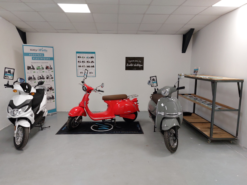 VSP 88 Scooters Electriques by Groupe Brocard à Chavelot (Vosges 88)