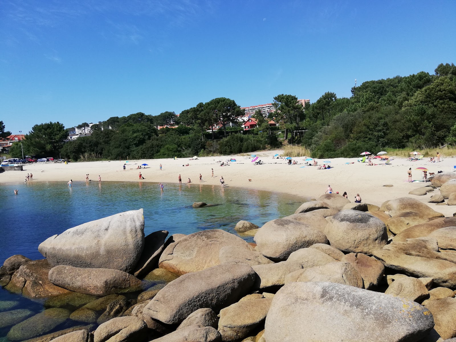 Dog beach O Espino的照片 带有宽敞的多湾