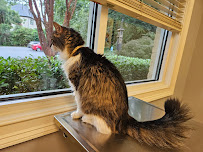 The Cat Doctor - Photo 4 - Car repair in Atlanta, GA, Sandy Springs