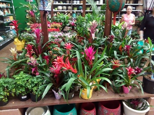 Hardware Store «Orchard Supply Hardware», reviews and photos, 452 Fair Oaks Ave, South Pasadena, CA 91030, USA