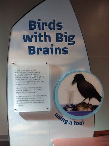 Science Museum «New York Hall Of Science», reviews and photos, 47-01 111th St, Queens, NY 11368, USA