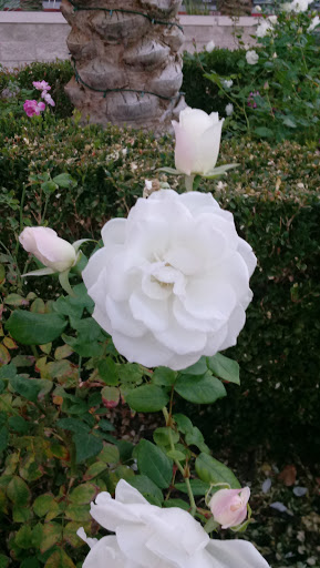 Performing Arts Theater «The Smith Center», reviews and photos, 361 Symphony Park Avenue, Las Vegas, NV 89106, USA