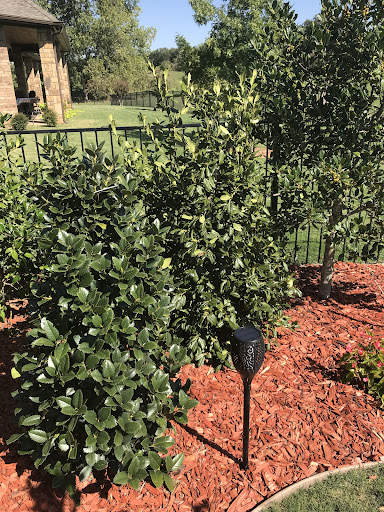 Plant Nursery «Guerin Nursery and Boutique», reviews and photos, 1418 Fall Creek Hwy, Granbury, TX 76049, USA