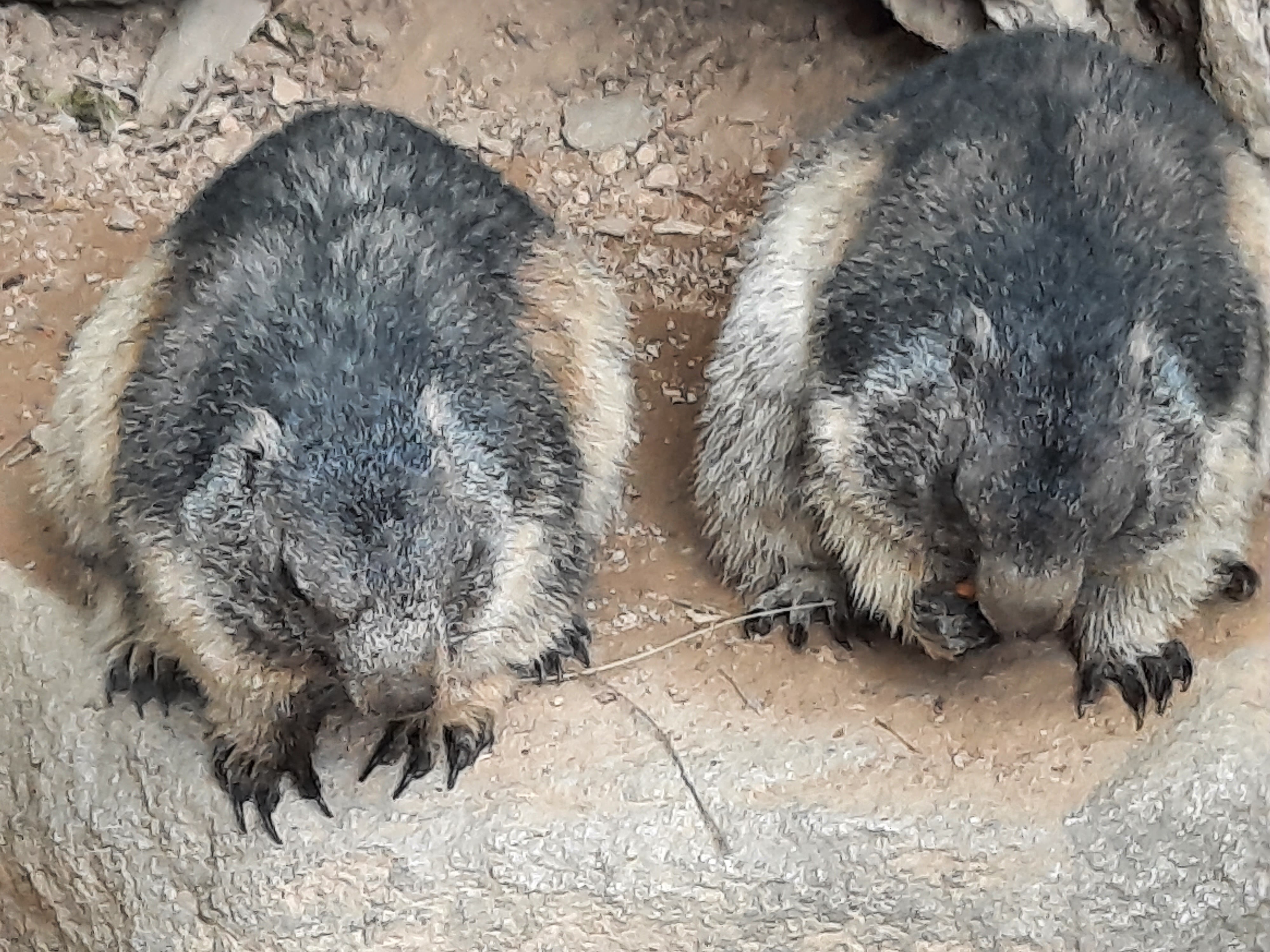 Photo n° 4 de l'avis de Michel.o fait le 29/07/2021 à 22:08