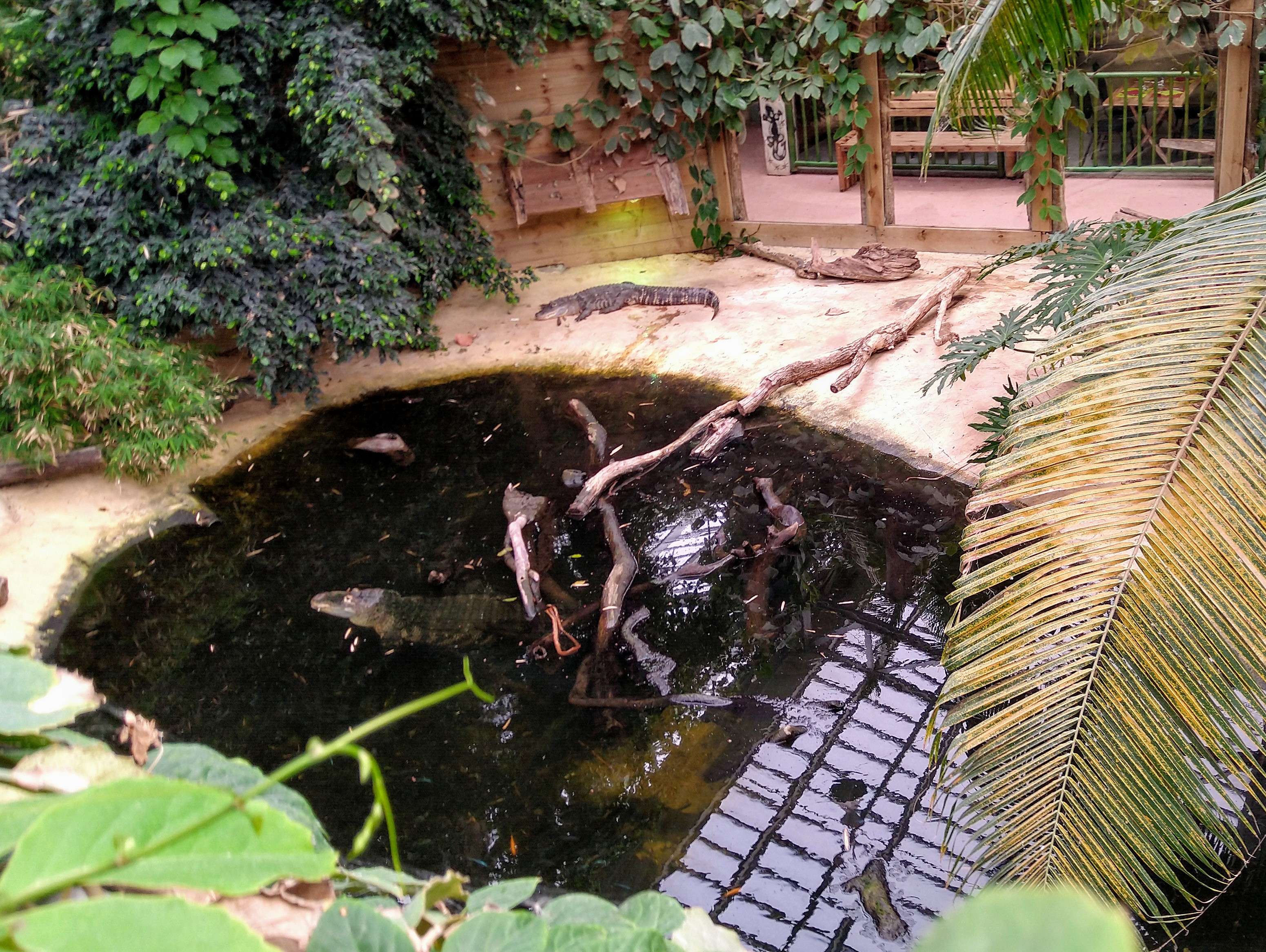 Photo n° 4 de l'avis de Just.e fait le 02/08/2019 à 17:06