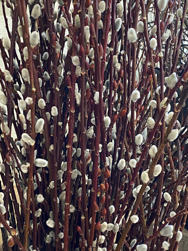 Florist «Ye Olde Yardley Florist», reviews and photos, 175 S Main St, Yardley, PA 19067, USA