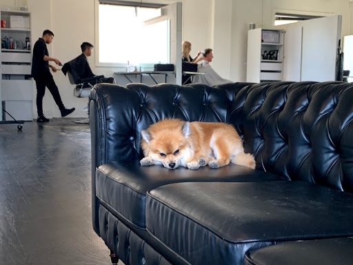 Barber Shop «Scissor and Bone Barber Shop», reviews and photos, 600 State St, Orem, UT 84057, USA