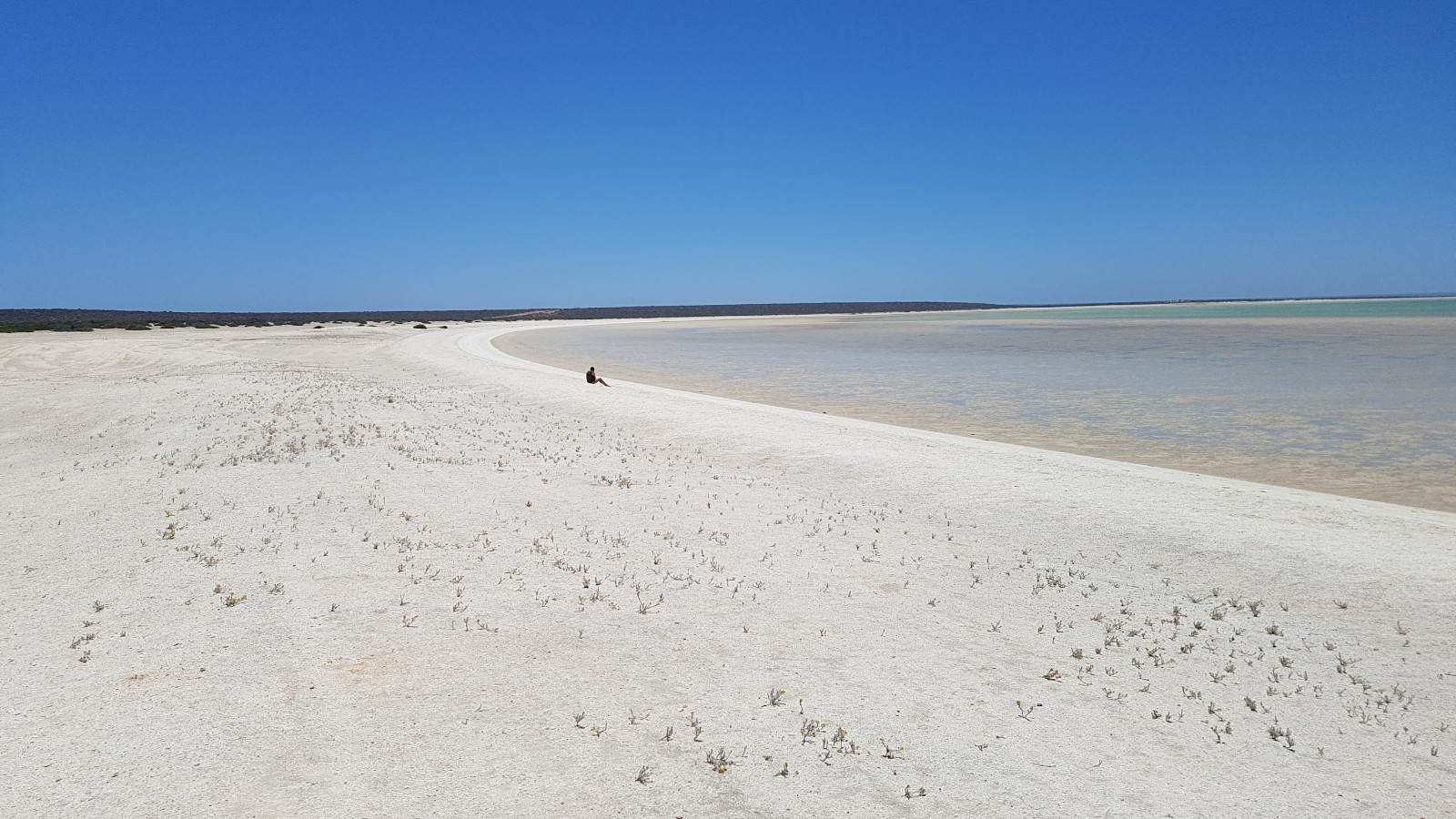 Photo de Shell Beach zone sauvage