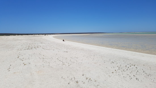 Shell Beach