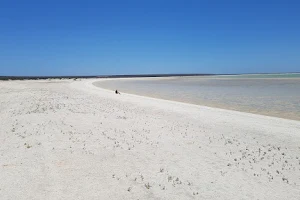 Shell Beach image