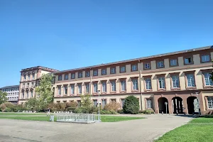 Mensawiese Universität Mannheim image