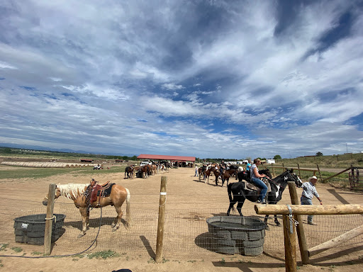 Lugares montar pony cerca Denver