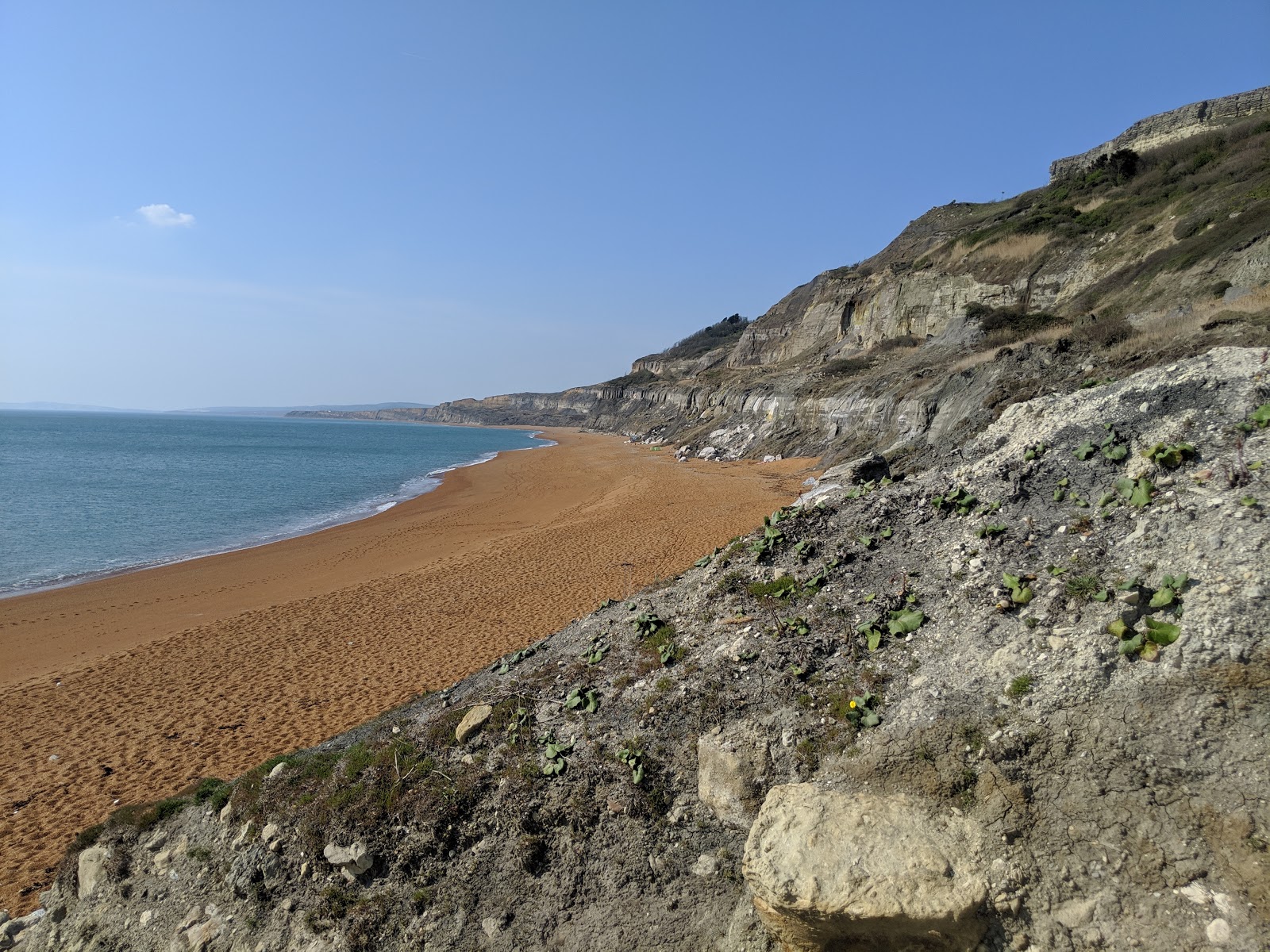 Rocken End Beach'in fotoğrafı çok temiz temizlik seviyesi ile
