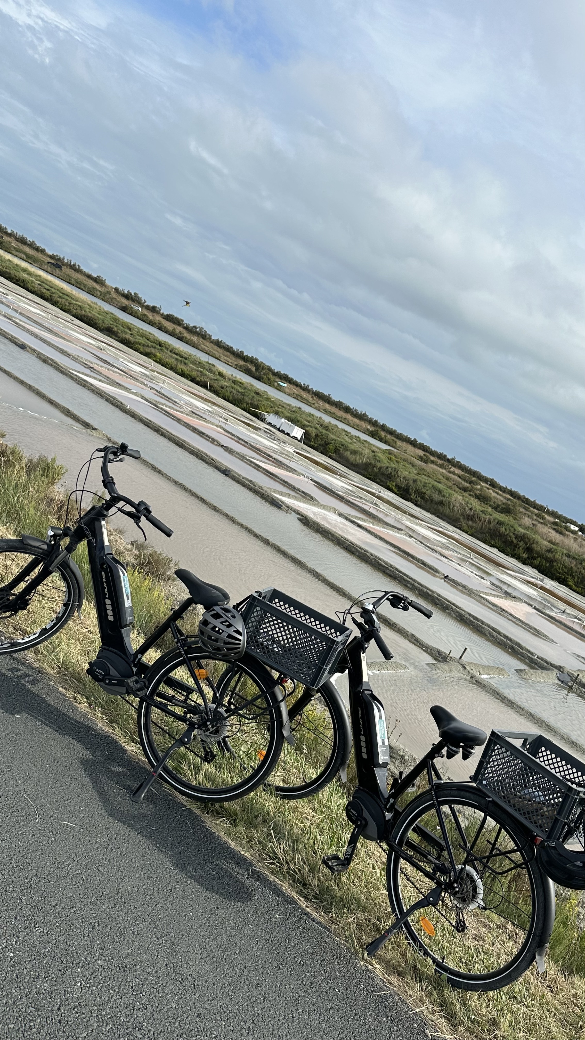 Photo n° 1 de l'avis de Marion. fait le 13/07/2023 à 09:08