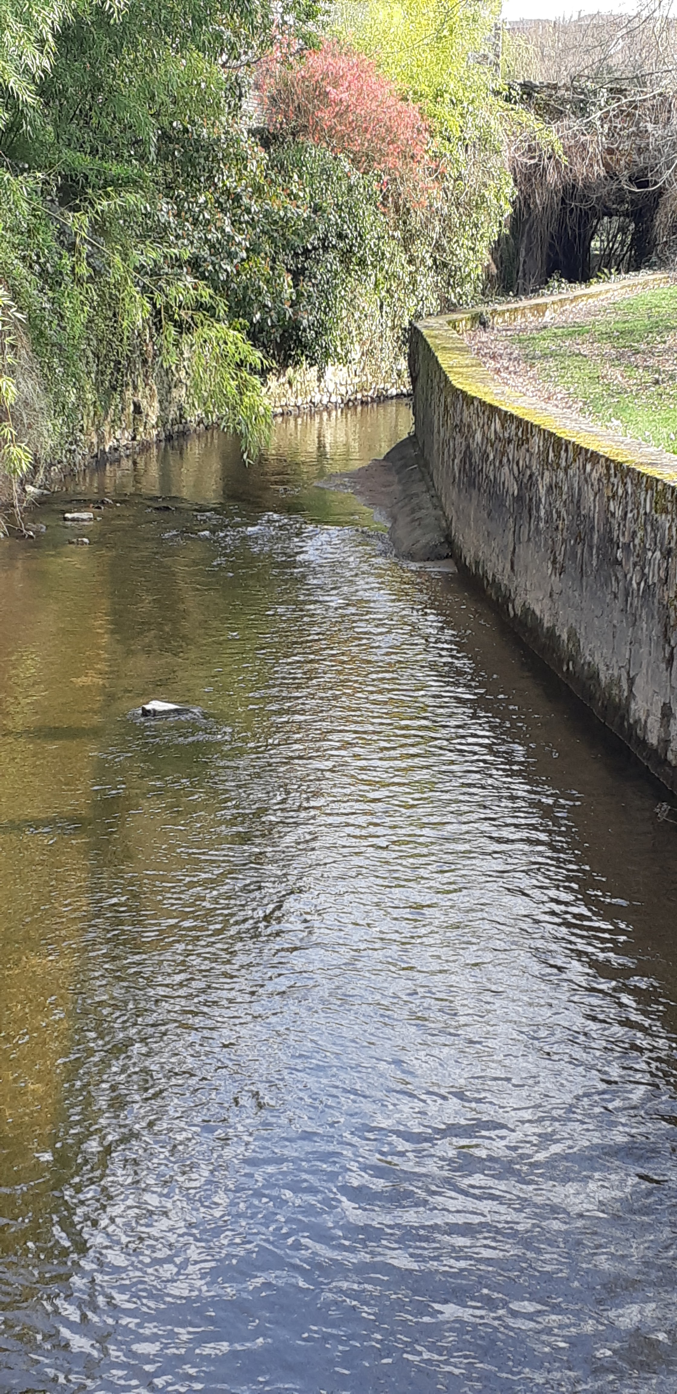 Photo n° 11 de l'avis de Gérard.a fait le 18/06/2020 à 17:57