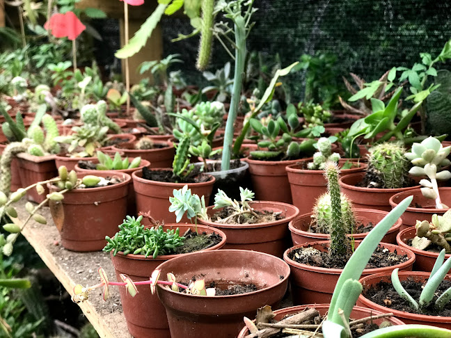 El Jardín de Patty - Centro de jardinería