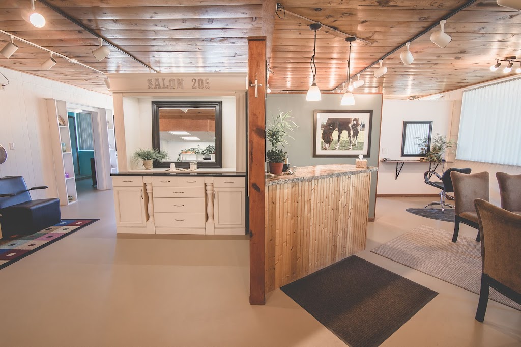 Hanah Lewis at Salon 205 46360