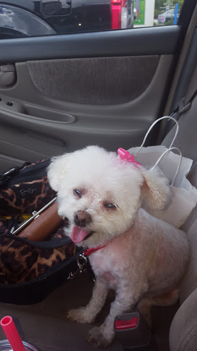 Pet Store «All Pets Considered», reviews and photos, 2614 Battleground Ave, Greensboro, NC 27408, USA