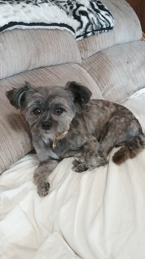 Pet Supply Store «Petco Animal Supplies», reviews and photos, 2005 W 8 Mile Rd, Detroit, MI 48203, USA