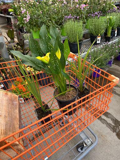 Home Improvement Store «The Home Depot», reviews and photos, 3500 Spicer Dr SE, Albany, OR 97322, USA