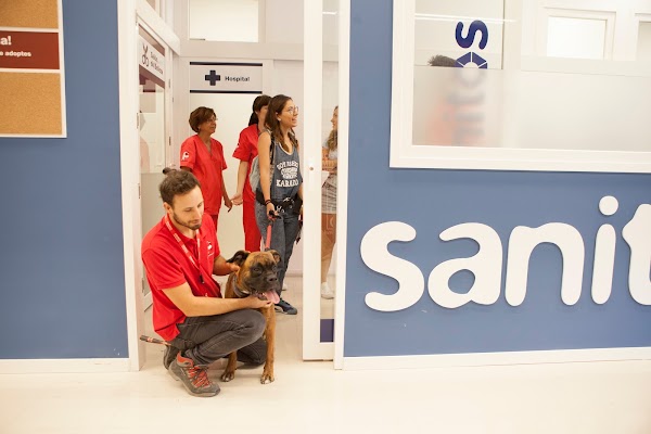 Sanitos