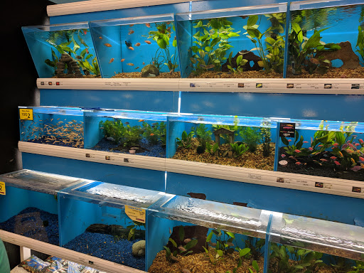 Pet Supply Store «Pet Supermarket», reviews and photos, 2449 S Hiawassee Rd, Orlando, FL 32835, USA