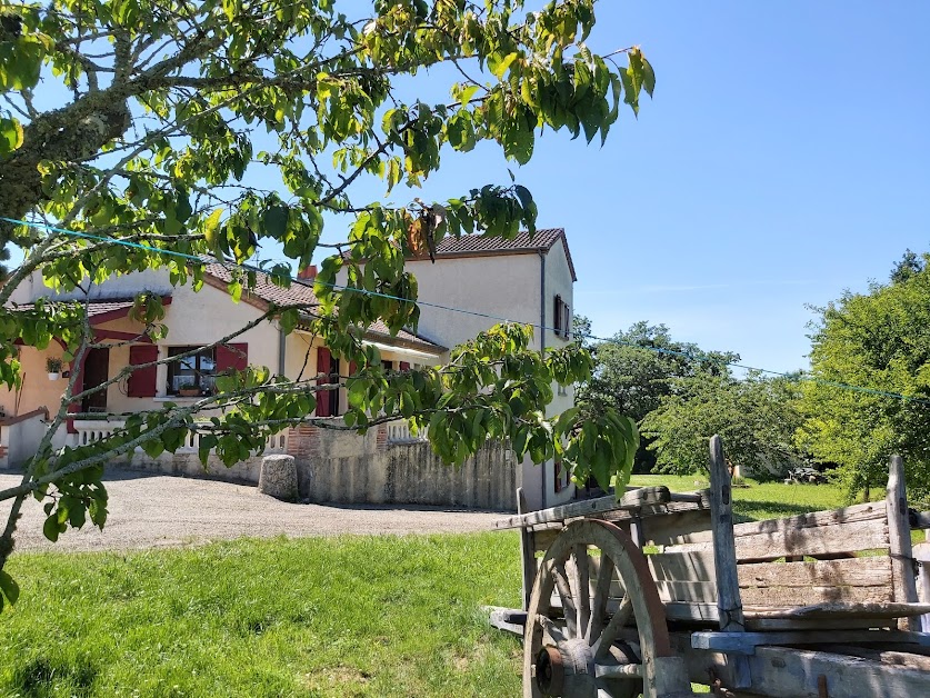 Tissendie à Bourg-de-Visa (Tarn-et-Garonne 82)