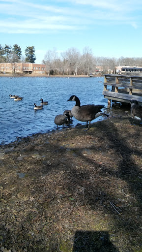 10 Foster Ave, Gibbsboro, NJ 08026, USA