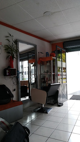 Zonia Peluqueria - Barbería