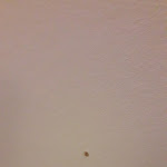 Photo n°10 de l'avis de Claudia.y fait le 17/09/2023 à 06:22 sur le  Hotel Kunterbunt à Würzburg