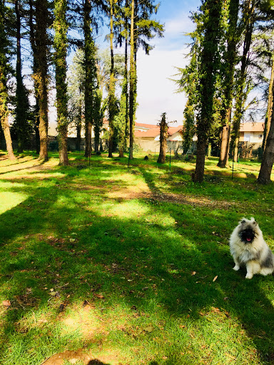 Pensioni per cani e dog hotel a Liberitutti! Asilo per cani