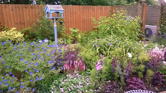 Reviews of Samantha McKay Garden Design in Norwich - Landscaper